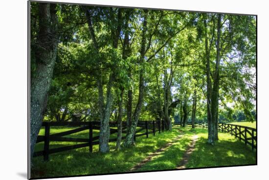 Green Springs Farm III-Alan Hausenflock-Mounted Photographic Print