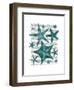 Green Starfish Collection-Fab Funky-Framed Art Print