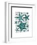 Green Starfish Collection-Fab Funky-Framed Art Print