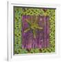 Green Starfish Deck-Tom Kelly-Framed Giclee Print