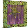Green Starfish Deck-Tom Kelly-Mounted Giclee Print