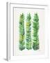 Green Stems-Cat Coquillette-Framed Giclee Print