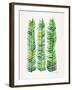 Green Stems-Cat Coquillette-Framed Giclee Print