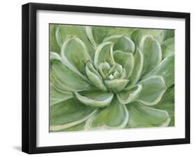 Green Succulent-Marilyn Dunlap-Framed Art Print