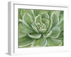 Green Succulent-Marilyn Dunlap-Framed Art Print