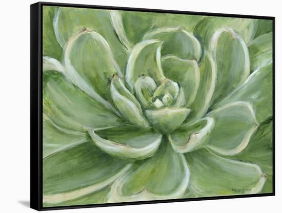 Green Succulent-Marilyn Dunlap-Framed Stretched Canvas