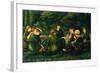 Green Summer, 1868-Edward Burne-Jones-Framed Giclee Print