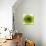 Green Summer Petals-Katja Marzahn-Giclee Print displayed on a wall