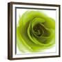 Green Summer Petals-Katja Marzahn-Framed Giclee Print