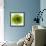 Green Summer Petals-Katja Marzahn-Framed Giclee Print displayed on a wall