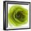 Green Summer Petals-Katja Marzahn-Framed Giclee Print