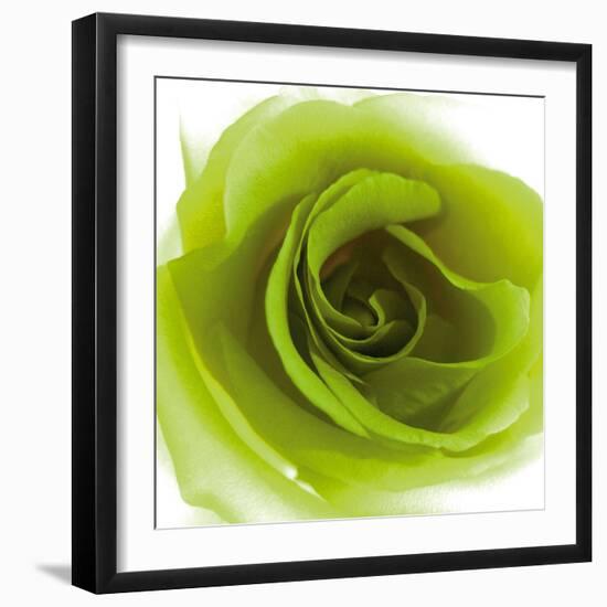 Green Summer Petals-Katja Marzahn-Framed Giclee Print