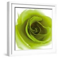 Green Summer Petals-Katja Marzahn-Framed Giclee Print