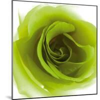 Green Summer Petals-Katja Marzahn-Mounted Giclee Print