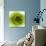 Green Summer Petals-Katja Marzahn-Giclee Print displayed on a wall