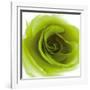 Green Summer Petals-Katja Marzahn-Framed Giclee Print