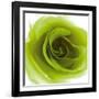 Green Summer Petals-Katja Marzahn-Framed Giclee Print