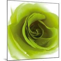 Green Summer Petals-Katja Marzahn-Mounted Giclee Print