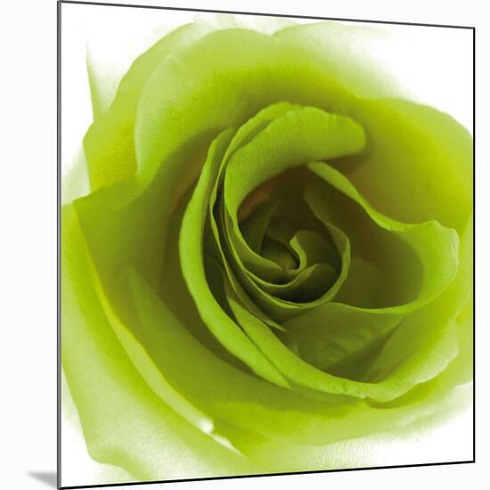 Green Summer Petals-Katja Marzahn-Mounted Giclee Print