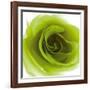 Green Summer Petals-Katja Marzahn-Framed Giclee Print