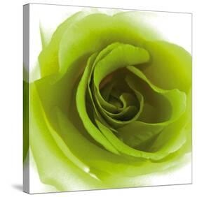 Green Summer Petals-Katja Marzahn-Stretched Canvas