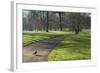 Green sunlight, Green Park, London, England, United Kingdom, Europe-James Emmerson-Framed Photographic Print