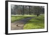 Green sunlight, Green Park, London, England, United Kingdom, Europe-James Emmerson-Framed Photographic Print