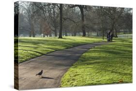 Green sunlight, Green Park, London, England, United Kingdom, Europe-James Emmerson-Stretched Canvas