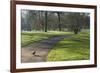 Green sunlight, Green Park, London, England, United Kingdom, Europe-James Emmerson-Framed Photographic Print
