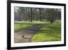 Green sunlight, Green Park, London, England, United Kingdom, Europe-James Emmerson-Framed Photographic Print