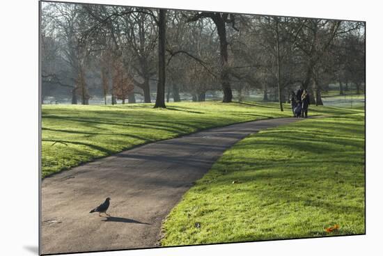Green sunlight, Green Park, London, England, United Kingdom, Europe-James Emmerson-Mounted Photographic Print