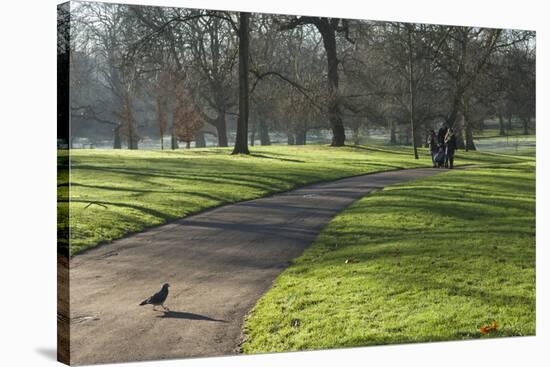 Green sunlight, Green Park, London, England, United Kingdom, Europe-James Emmerson-Stretched Canvas