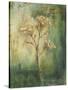 Green Tansy I-Carol Black-Stretched Canvas