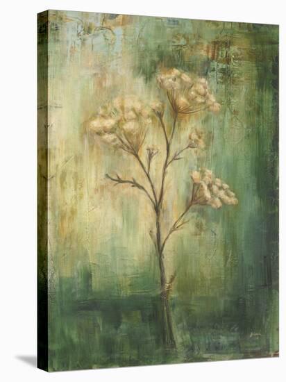 Green Tansy I-Carol Black-Stretched Canvas