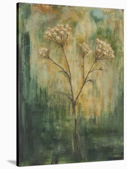 Green Tansy II-Carol Black-Stretched Canvas