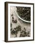 Green Tea (Dried Tea Leaves)-Winfried Heinze-Framed Photographic Print