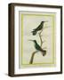 Green-Throated Mango and Violet-Tailed Sylph-Georges-Louis Buffon-Framed Giclee Print