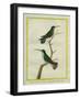 Green-Throated Mango and Violet-Tailed Sylph-Georges-Louis Buffon-Framed Giclee Print