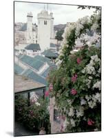 Green-tiled Roof and Minaret in the Medina, Fes, Morocco-Merrill Images-Mounted Photographic Print