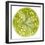 Green Tomato Slice-Steve Gadomski-Framed Photographic Print