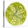 Green Tomato Slice-Steve Gadomski-Stretched Canvas