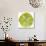 Green Tomato Slice-Steve Gadomski-Photographic Print displayed on a wall