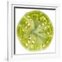 Green Tomato Slice-Steve Gadomski-Framed Photographic Print