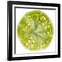 Green Tomato Slice-Steve Gadomski-Framed Photographic Print