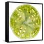 Green Tomato Slice-Steve Gadomski-Framed Stretched Canvas