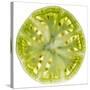 Green Tomato Slice-Steve Gadomski-Stretched Canvas