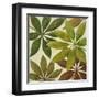 Green Touch II-Patricia Pinto-Framed Art Print