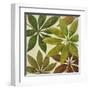 Green Touch II-Patricia Pinto-Framed Art Print