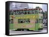 Green Tram, Central, Hong Kong Island, Hong Kong, China-Amanda Hall-Framed Stretched Canvas