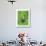 Green Tree Frog-Don Paulson-Giclee Print displayed on a wall